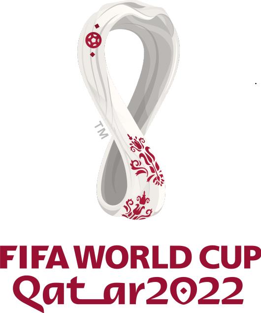 2022国际足联世界杯 日本VS西班牙